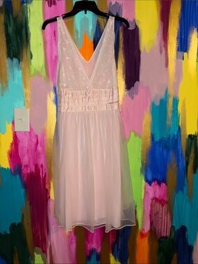 Pale Pink Vintage Nightgown